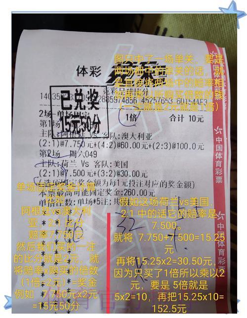 世界杯竞猜攻略：资深玩家必看投注技巧全解析